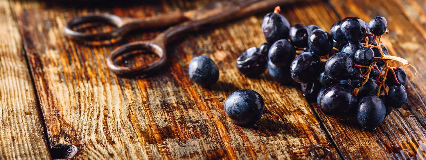 Südtiroler Grappa und Gin - Wir lieben Südtirol